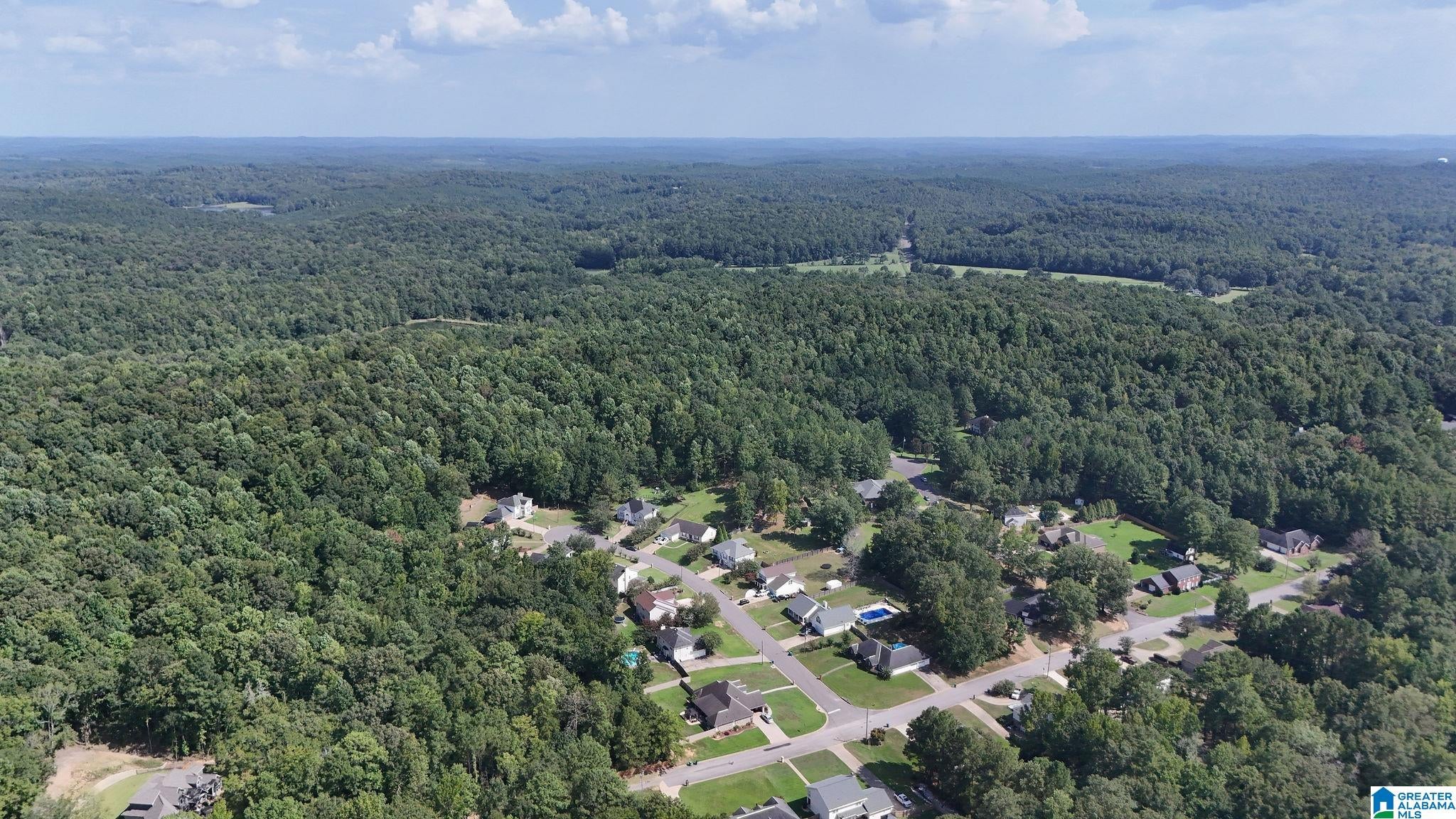 0 Clements Road Cottondale, AL 35453 - Photo 11 of 13 Gallery Image 11
