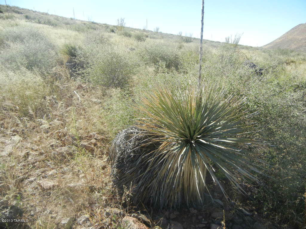 East Indian Ridge Road Pearce, AZ 85625 - Photo 11 of 24