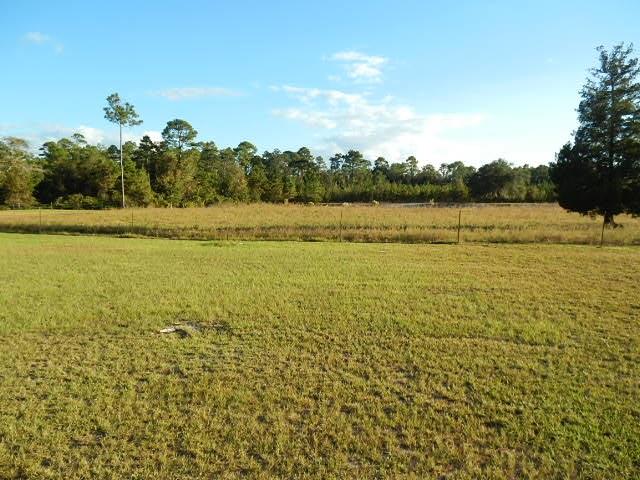 3580 Bobby King Road Perry, FL 32347 - Photo 8 of 9 Gallery Image 8