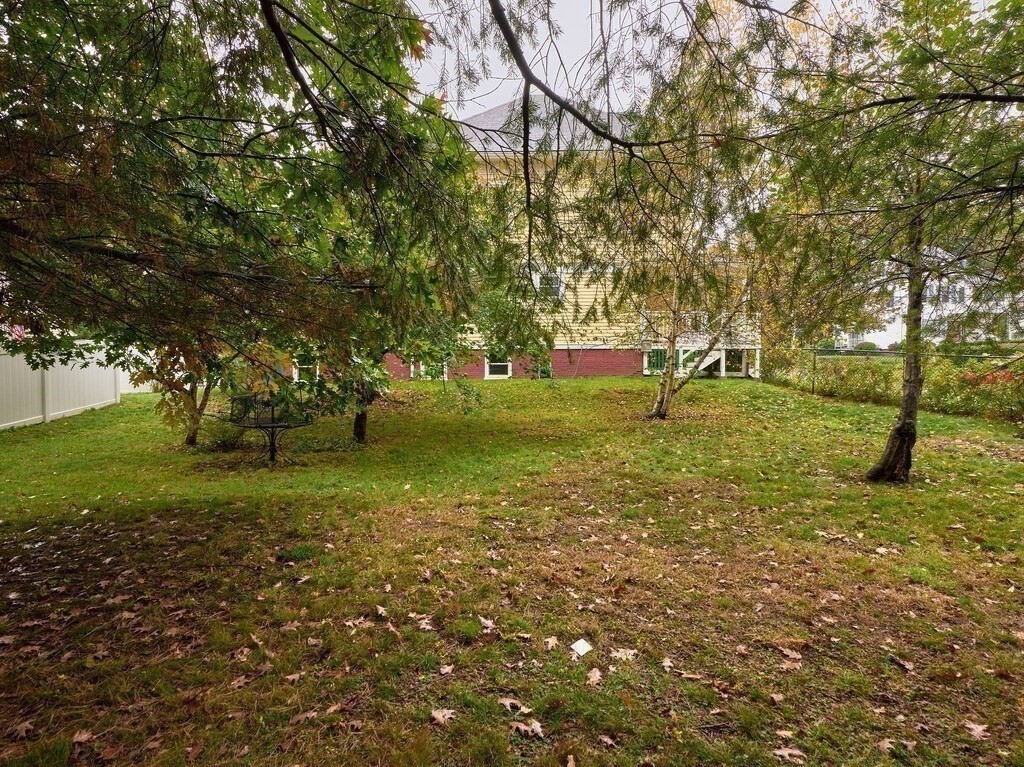 32 Wayne Street Worcester, MA 01603 - Photo 33 of 35 a view of a trees in a yard