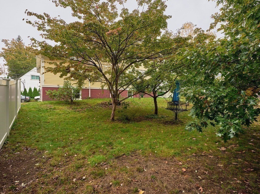 32 Wayne Street Worcester, MA 01603 - Photo 35 of 35 a view of a tree in front of a house