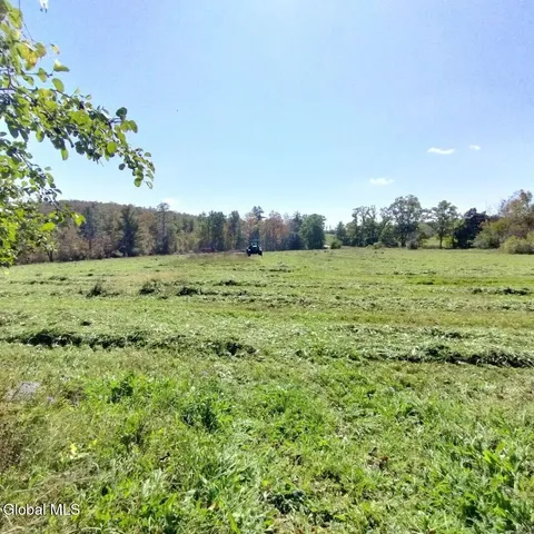 $140,000 | L41 Berne Altamont Road, Altamont, NY 12009