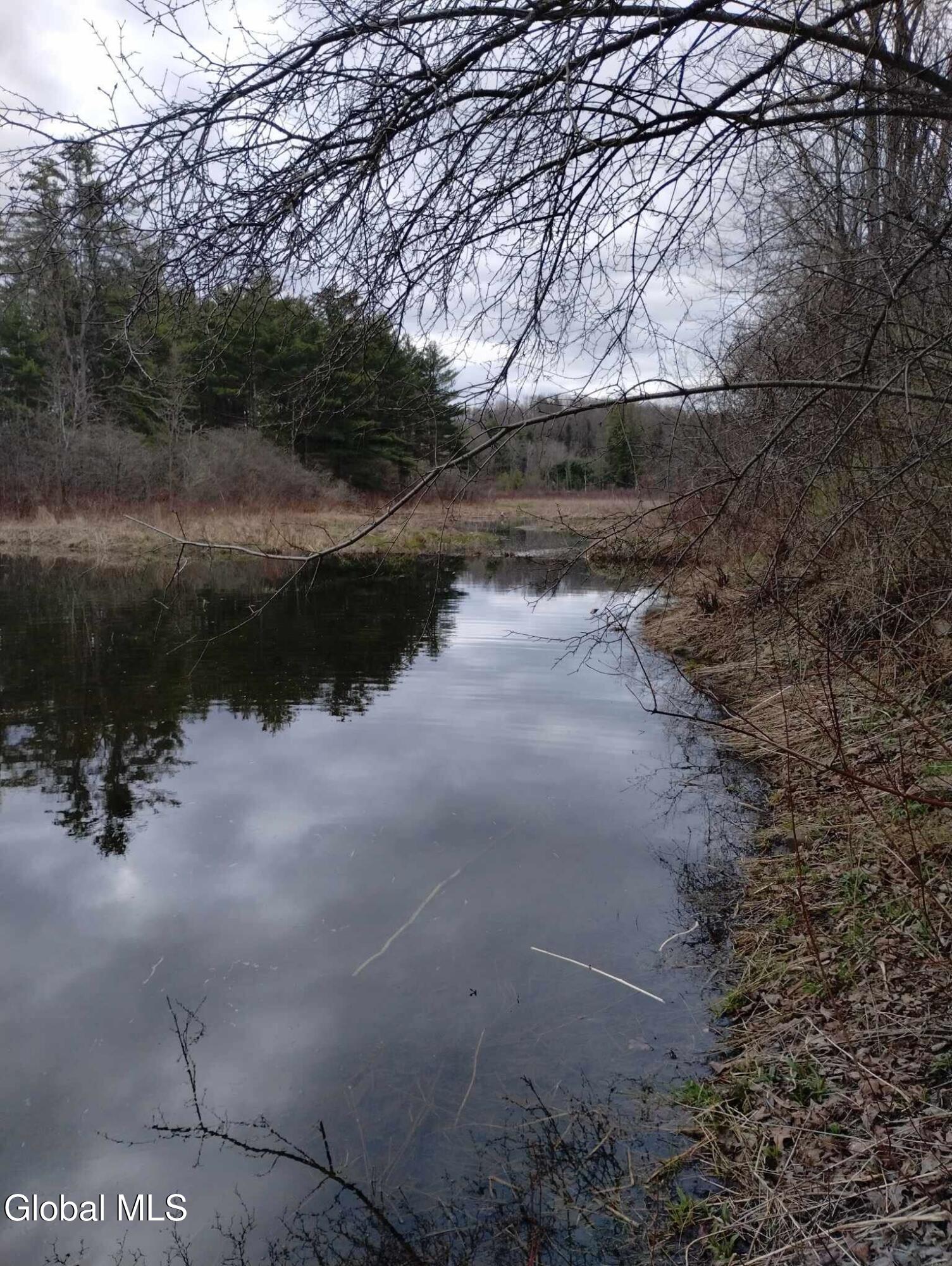 L41 Berne Altamont Road Altamont, NY 12009 - Photo 19 of 25 123_1 (3)