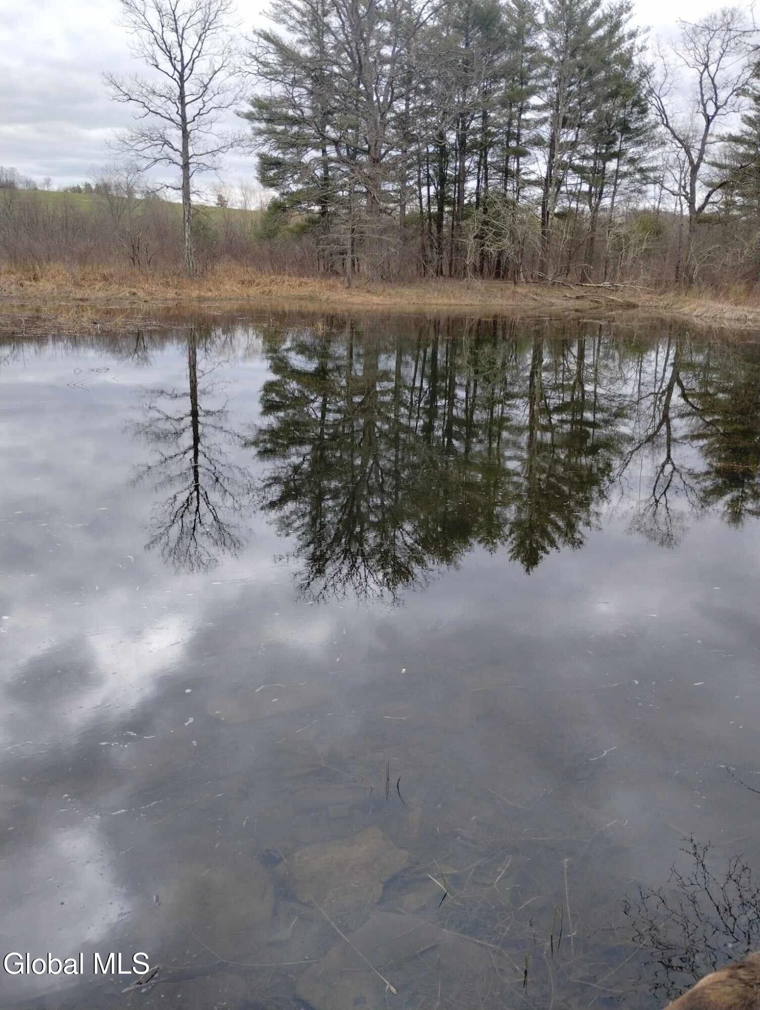 L41 Berne Altamont Road Altamont, NY 12009 - Photo 20 of 25 123_1 (5)