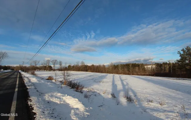 $140,000 | L41 Berne Altamont Road, Altamont, NY 12009