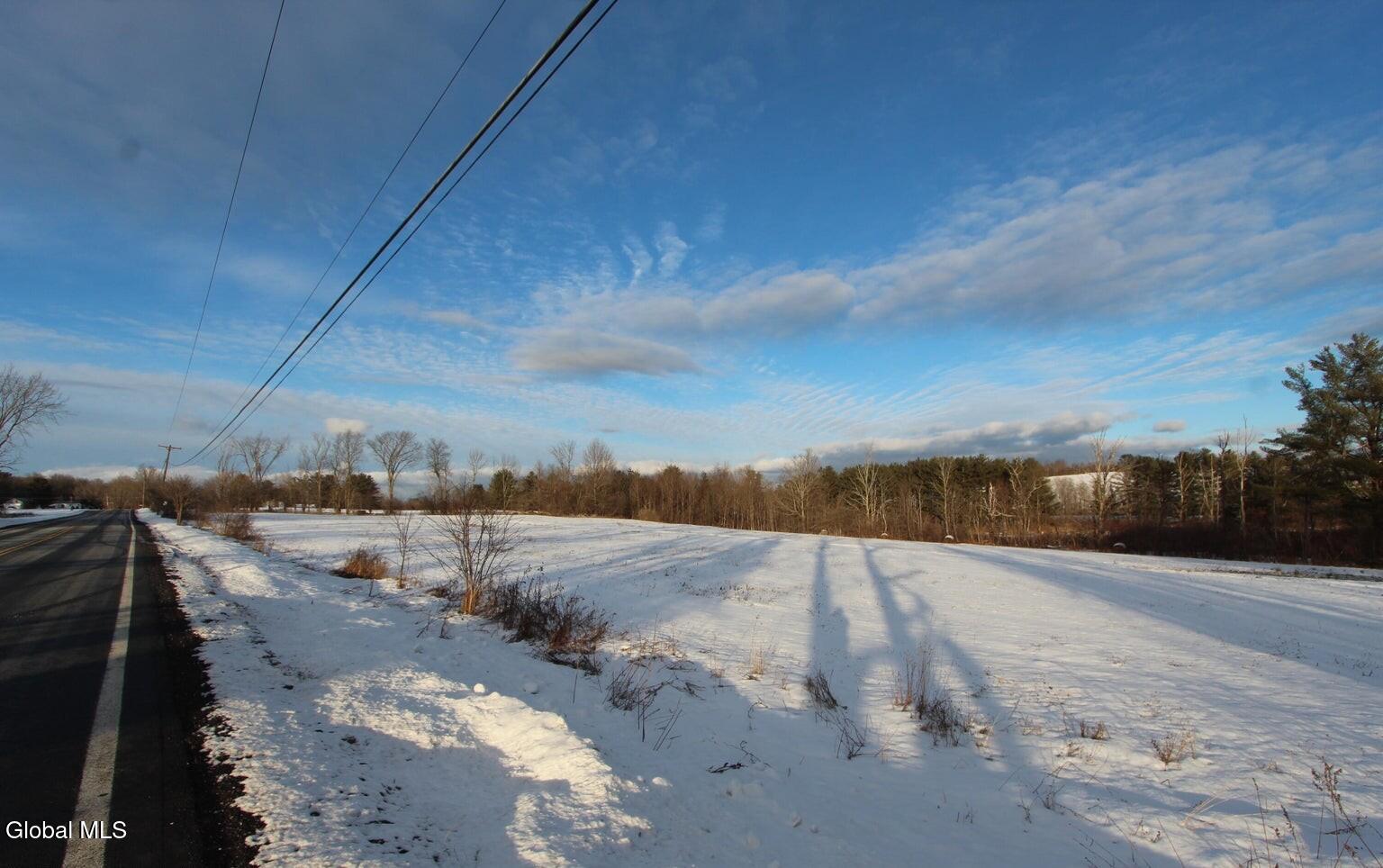 L41 Berne Altamont Road Altamont, NY 12009 - Photo 2 of 25 4