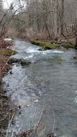 $140,000 | L41 Berne Altamont Road, Altamont, NY 12009