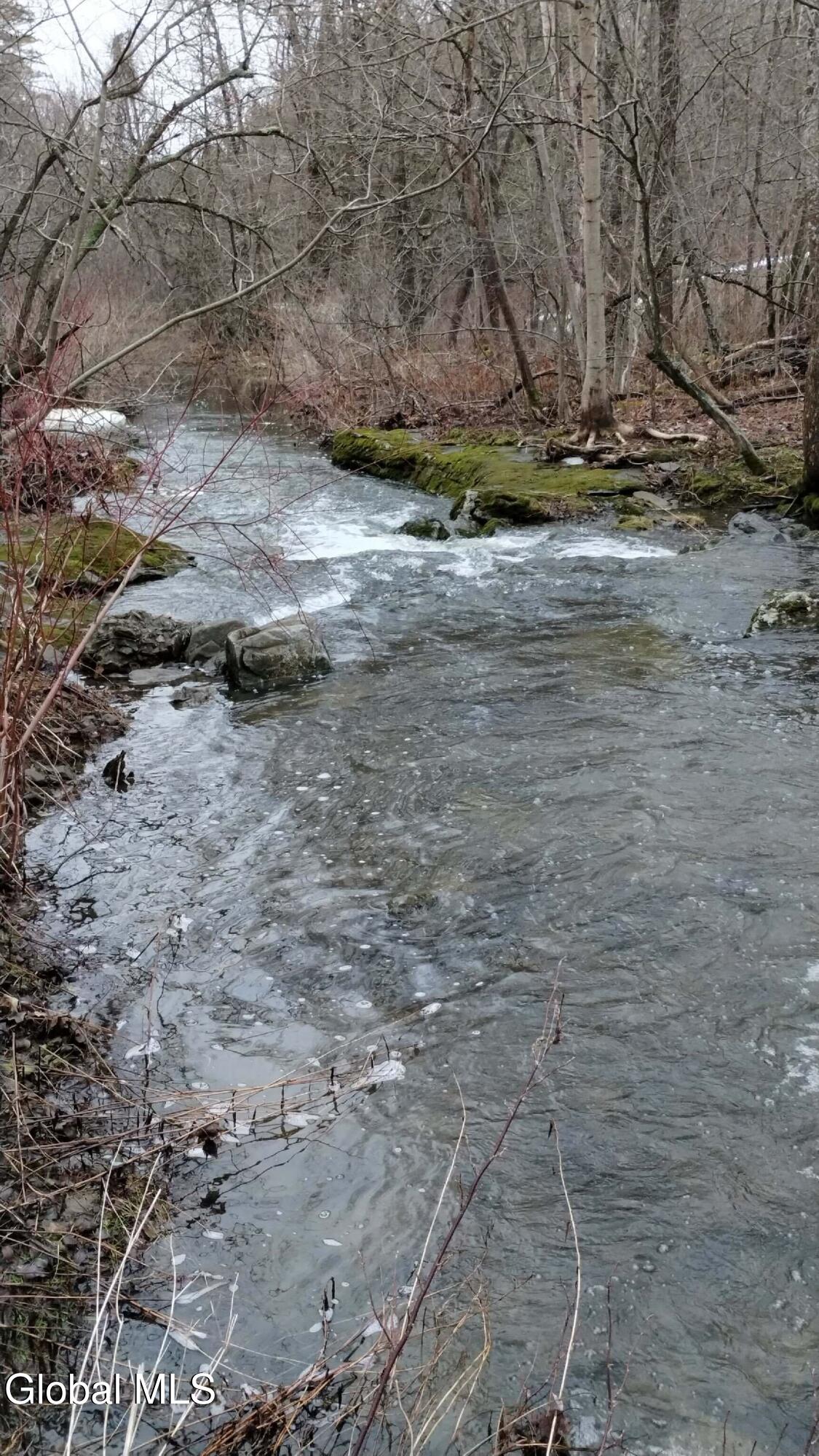 L41 Berne Altamont Road Altamont, NY 12009 - Photo 21 of 25 123_1 (1)