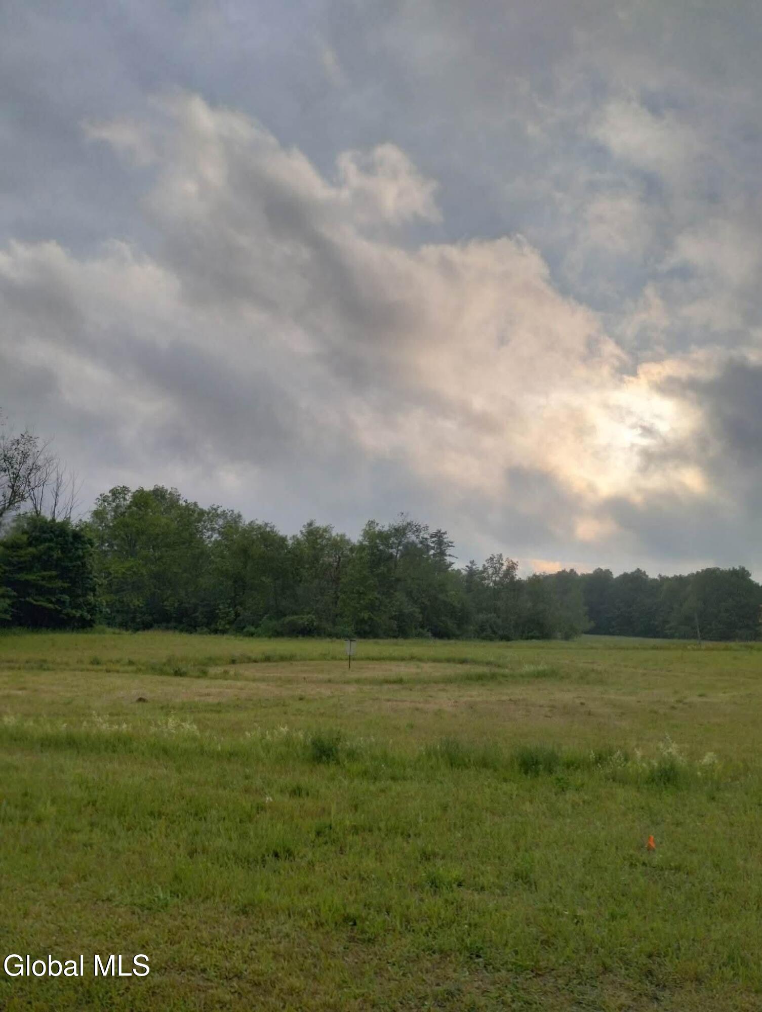 L41 Berne Altamont Road Altamont, NY 12009 - Photo 22 of 25 123_1 (1)