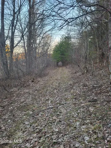 $140,000 | L41 Berne Altamont Road, Altamont, NY 12009