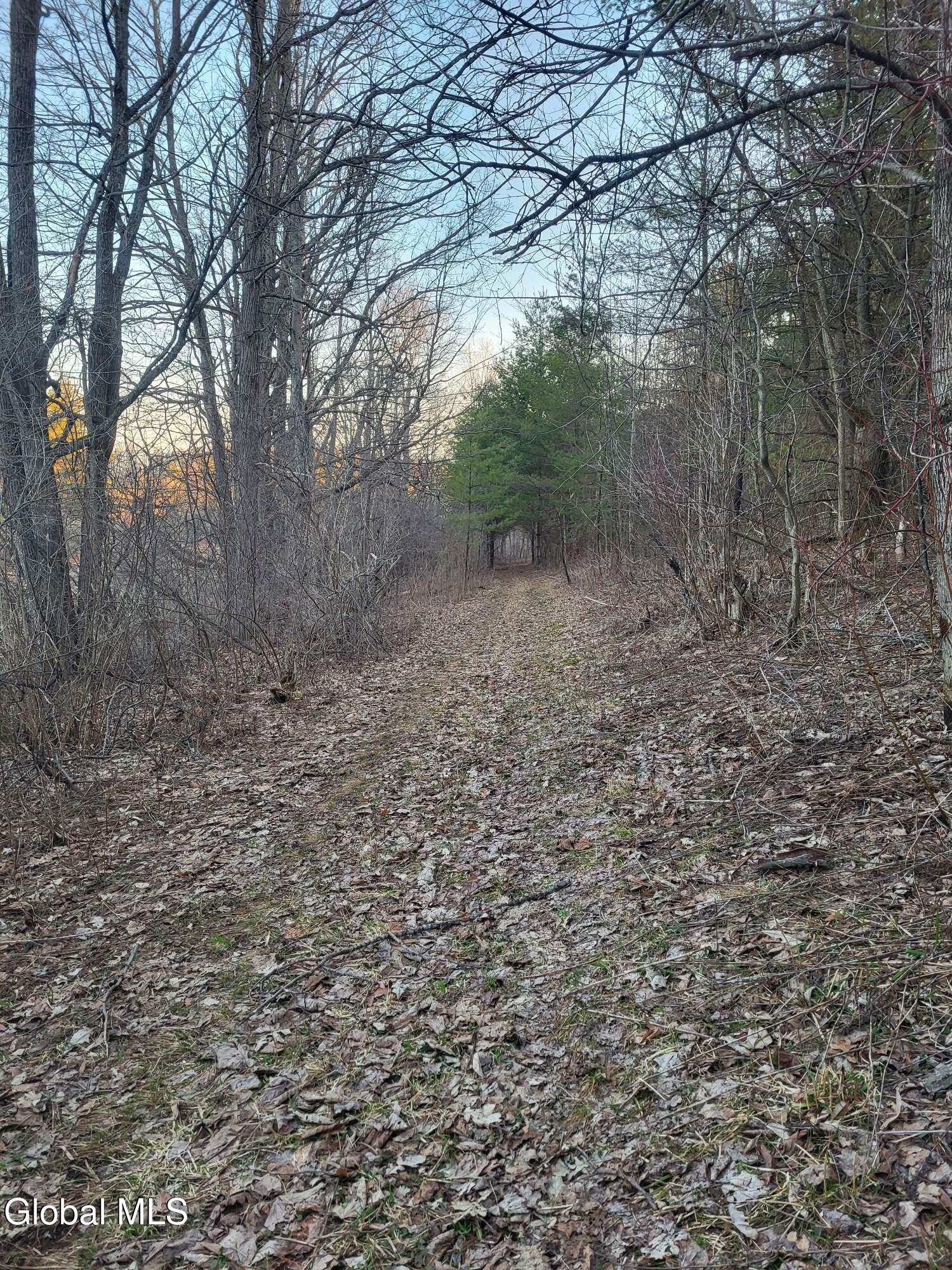 L41 Berne Altamont Road Altamont, NY 12009 - Photo 24 of 25 1000000733