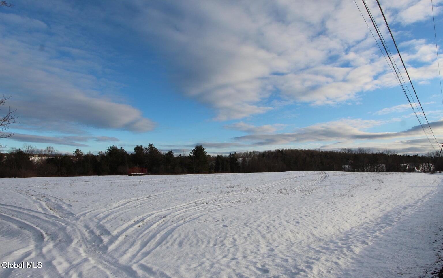 L41 Berne Altamont Road Altamont, NY 12009 - Photo 4 of 25 1