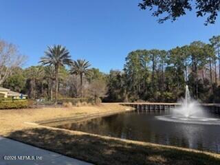 115 Tidecrest Parkway, Unit 3204 Ponte Vedra, FL 32081 - Photo 25 of 30 TW30