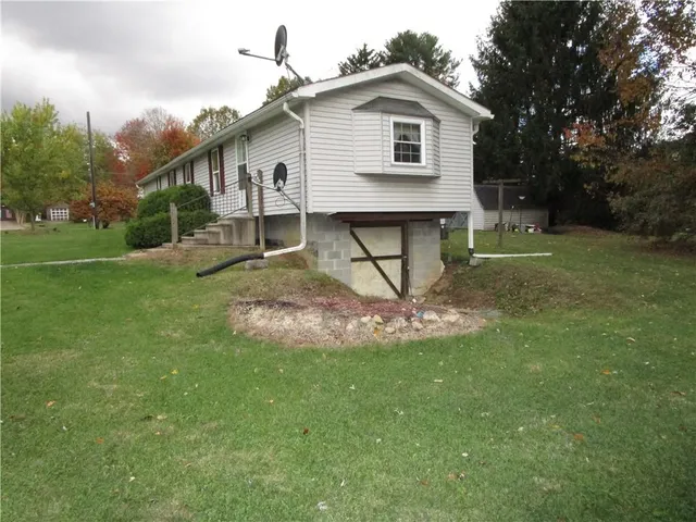 a view of a yard in front of a house with plants and large tree