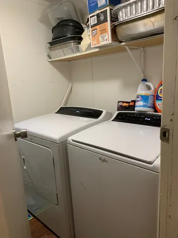 a view of backyard with wooden fence and a large tree