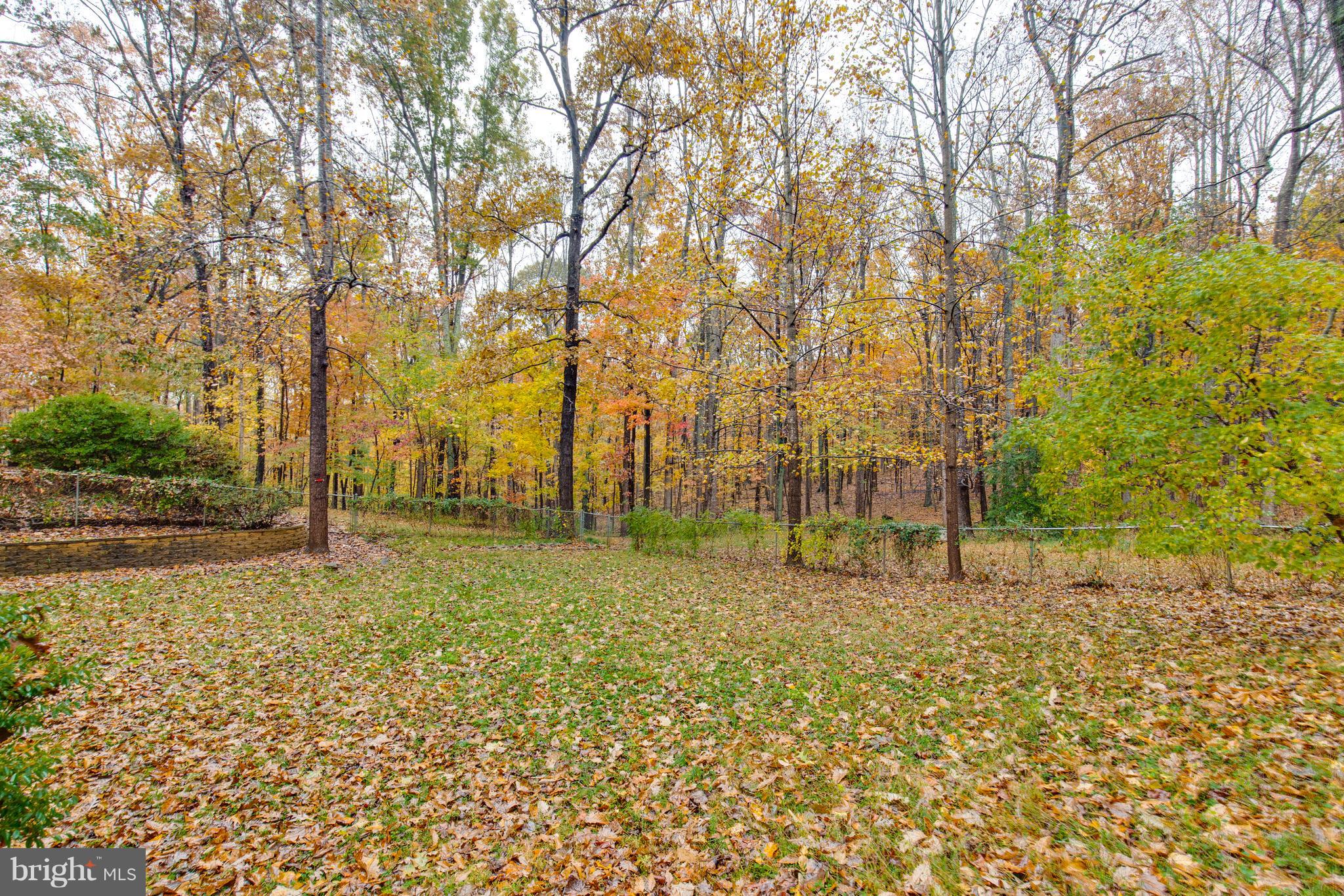 6615 Wilson Road Marshall, VA 20115 - Photo 23 of 24 View