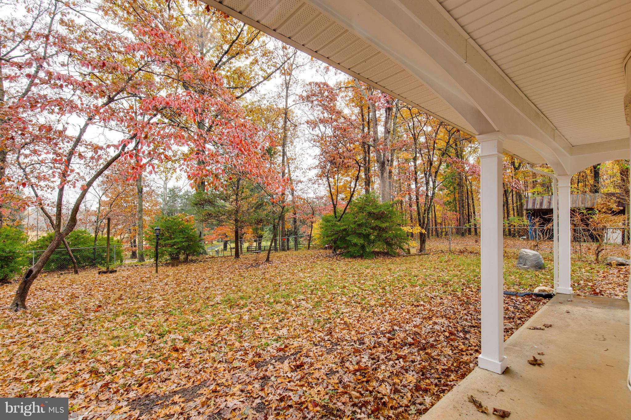 6615 Wilson Road Marshall, VA 20115 - Photo 24 of 24 View from Front Porch