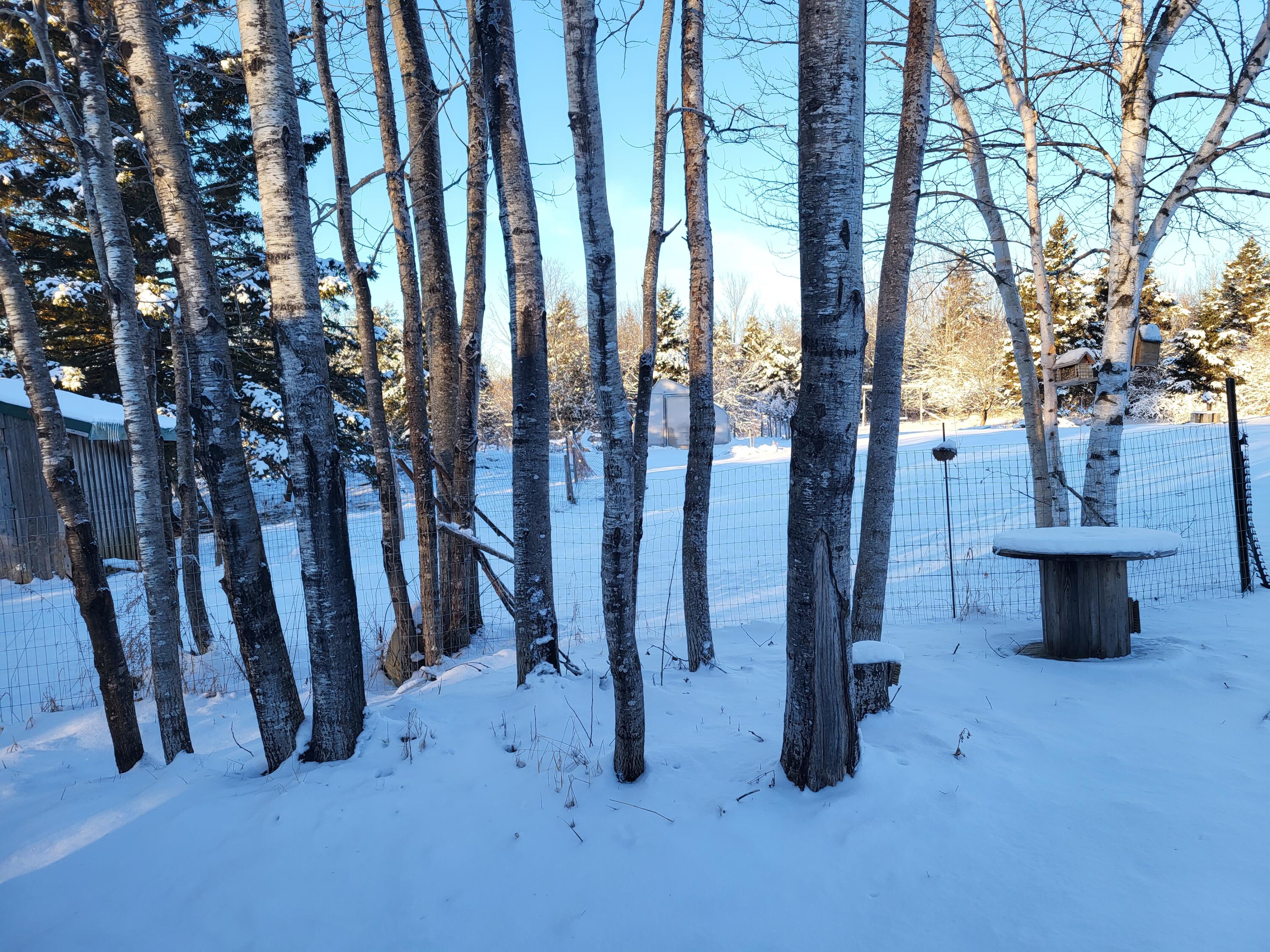 2005 Ludlow Road Houlton, ME 04730 - Photo 3 of 5 20240106_080724