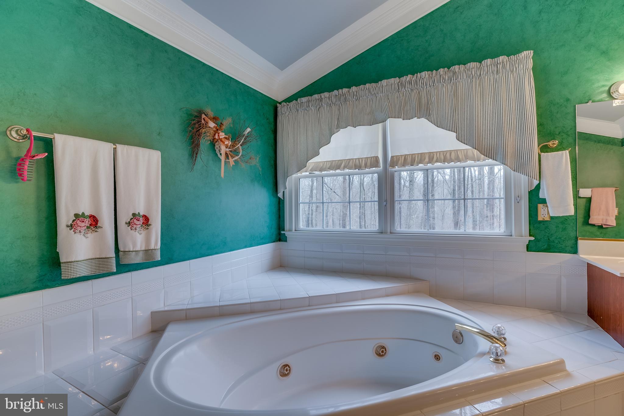 6905 Newman Road Clifton, VA 20124 - Photo 30 of 48 Primary Bath