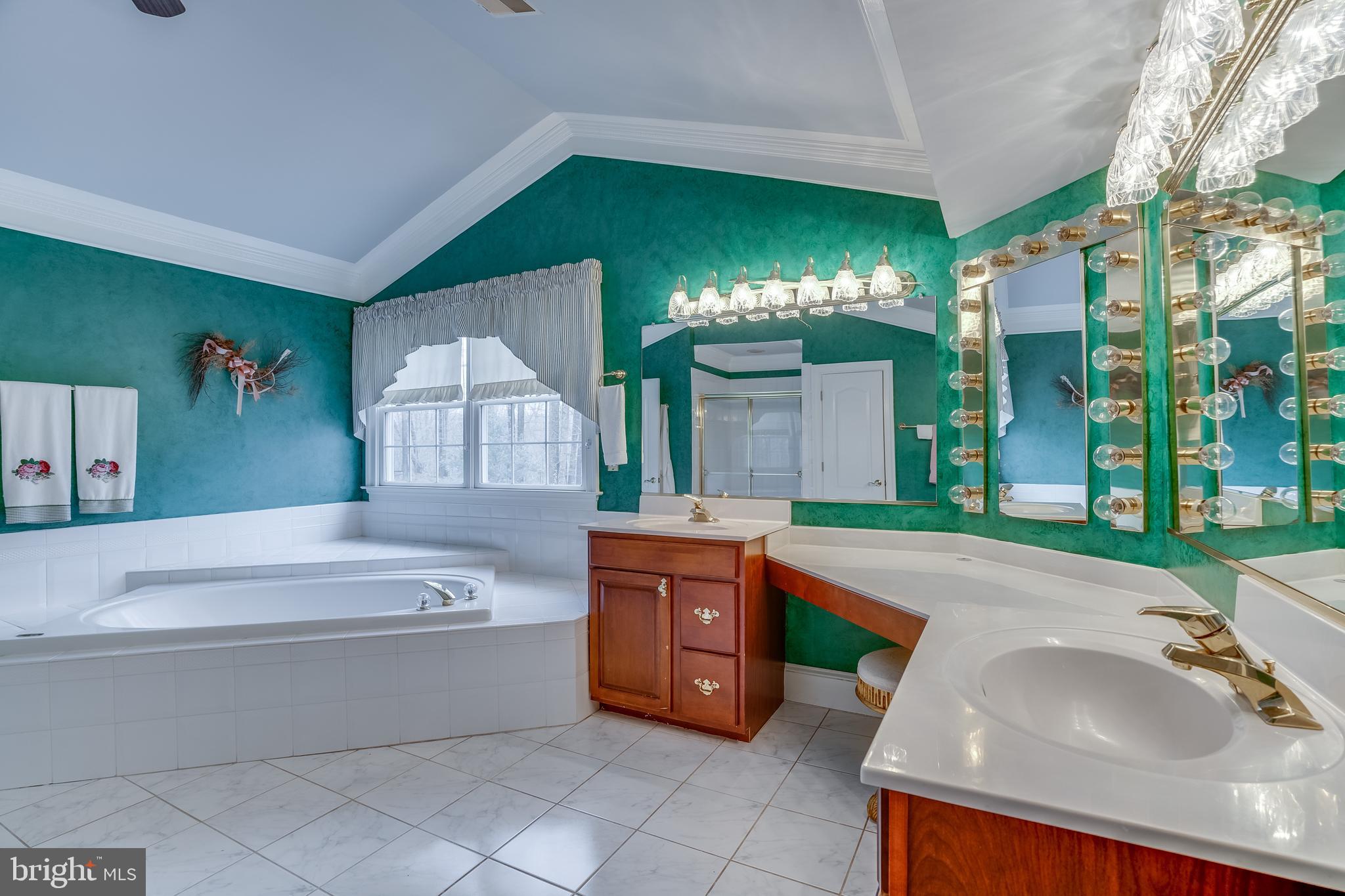 6905 Newman Road Clifton, VA 20124 - Photo 31 of 48 Primary Bath