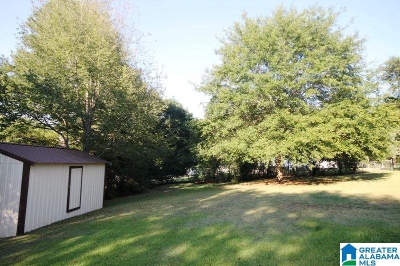 719 County Line Road Oxford, AL 36203 - Photo 29 of 36