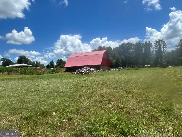 a view of a forest with trees in the background