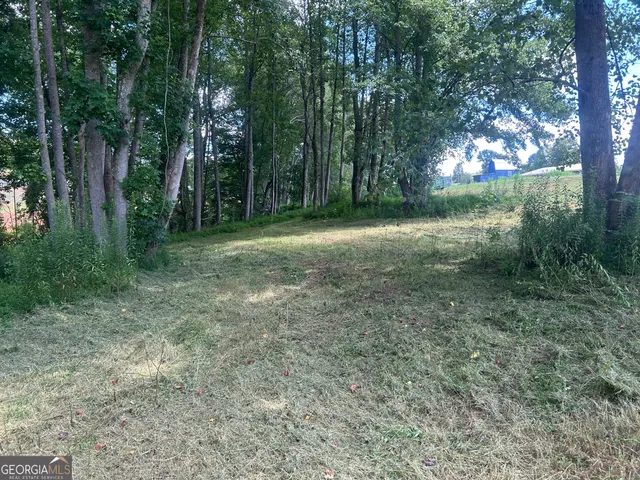 a view of a field of grass and trees
