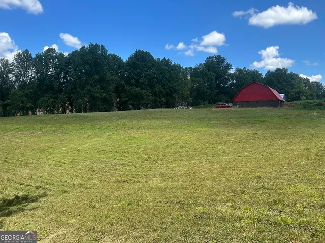 a view of a park with large trees