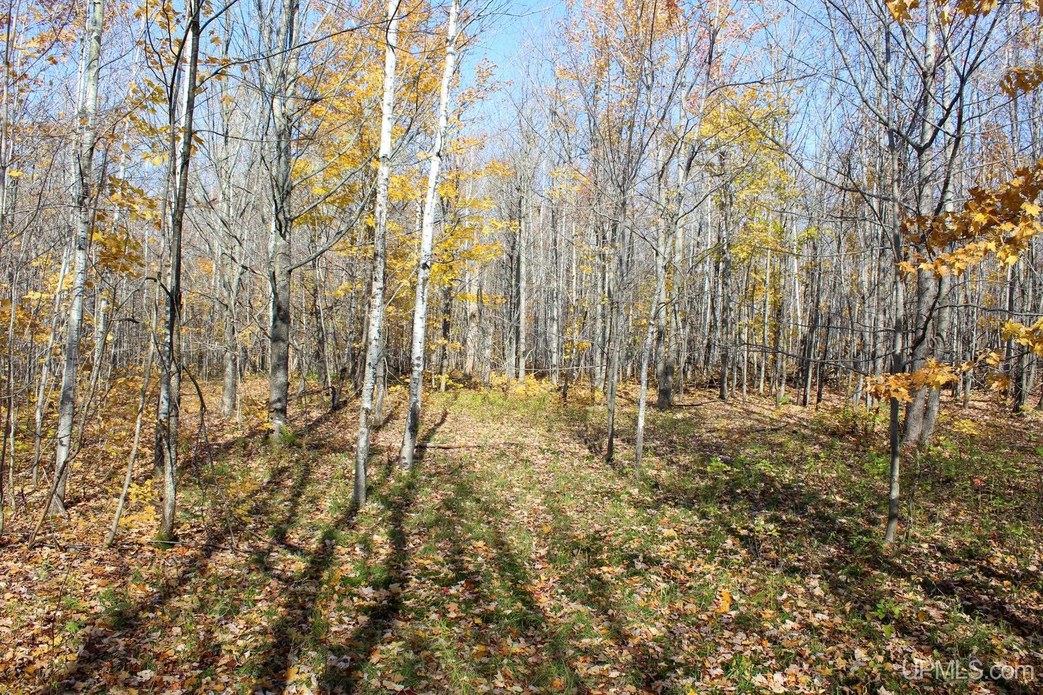 Tbd Pike River Road Chassell, MI 49916 - Photo 51 of 57 Gallery Image 51