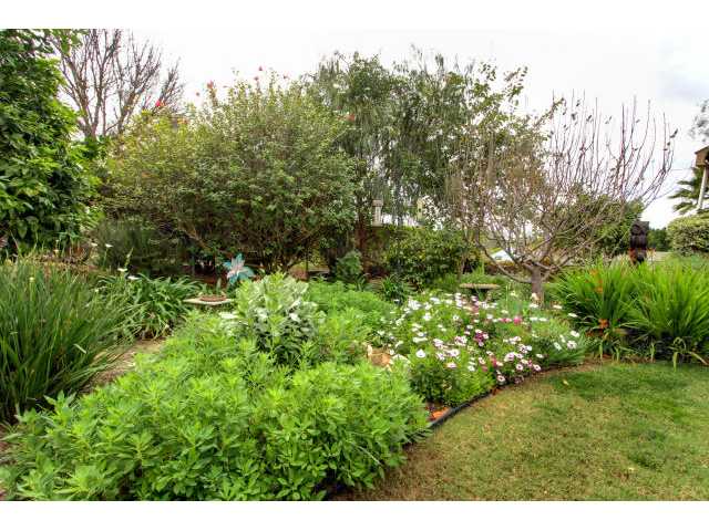 431 Morro Road Fallbrook, CA 92028 - Photo 22 of 25