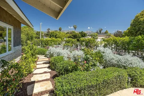 a view of a garden with plants
