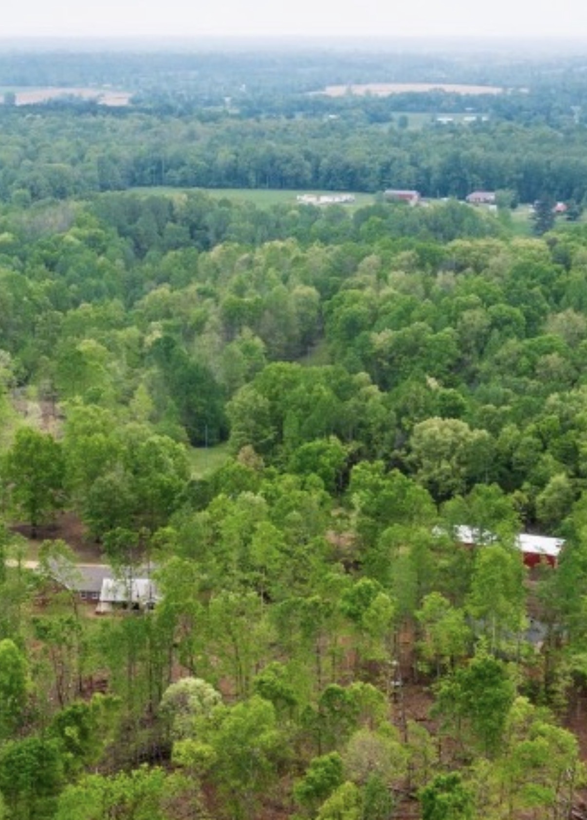 48 Sweet Springs Road Kelso, TN 37348 - Photo 2 of 45