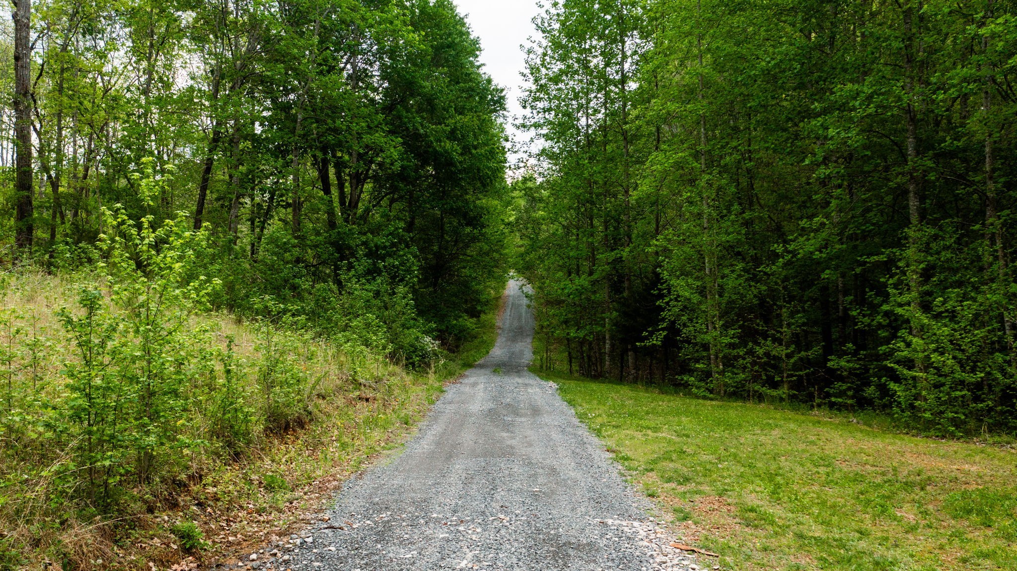 48 Sweet Springs Road Kelso, TN 37348 - Photo 3 of 45