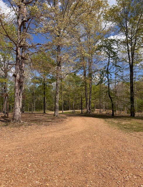 48 Sweet Springs Road Kelso, TN 37348 - Photo 45 of 45