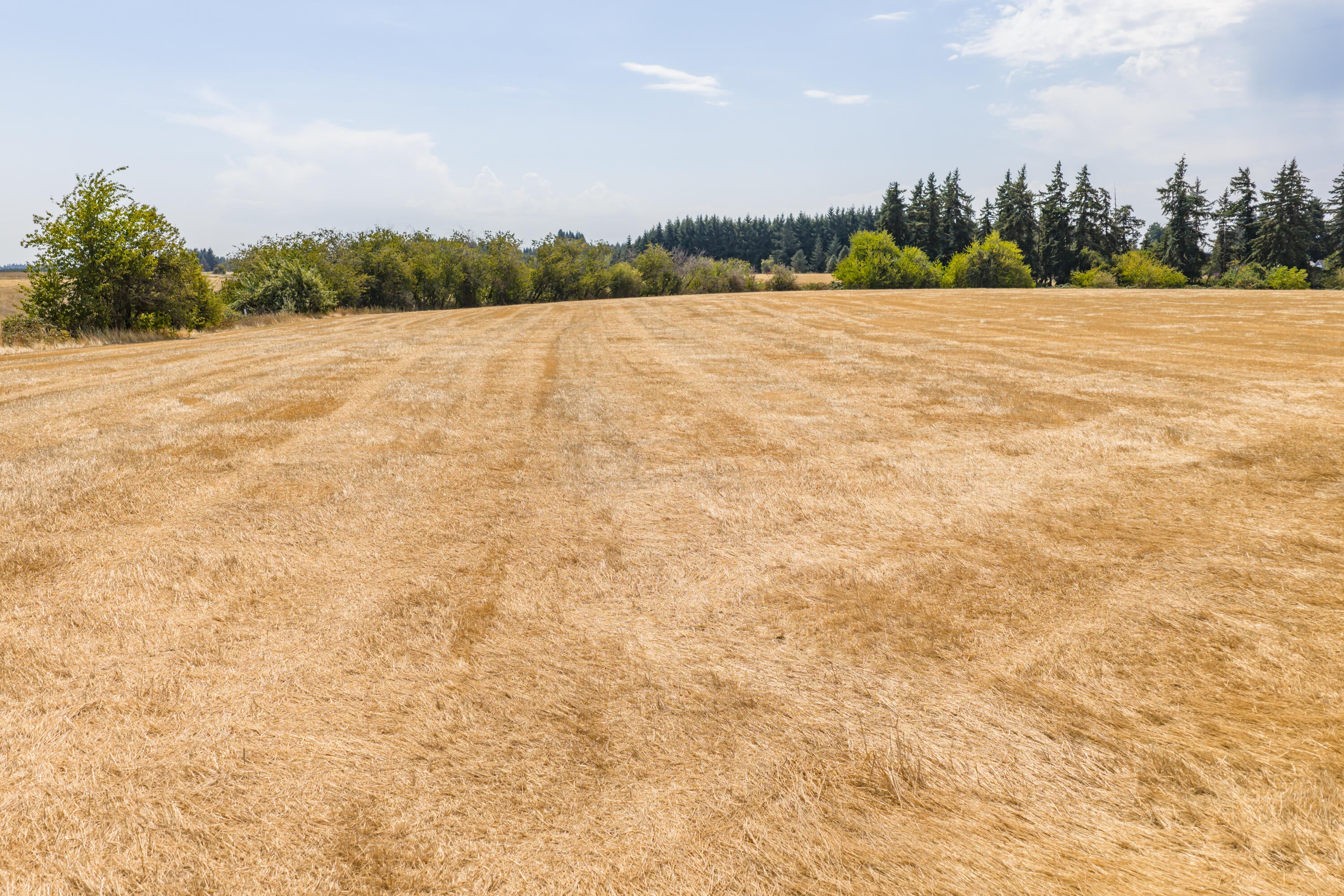 0 Coville Road Dallas, OR 97338 - Photo 14 of 15 Gallery Image 14
