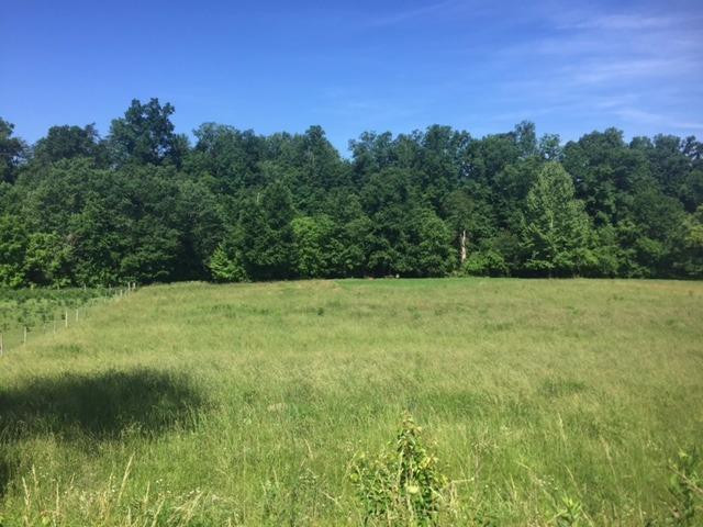 933 Long Branch Road Jeffersonville, KY 40337 - Photo 10 of 16 Photo 10