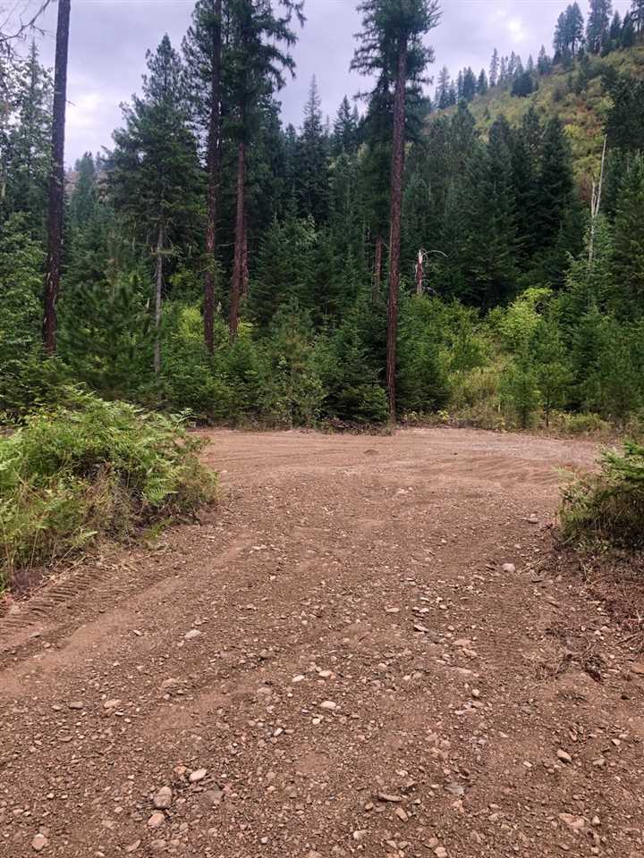 0 Leclerc Road Cusick, WA 99119 - Photo 11 of 11 Gallery Image 11