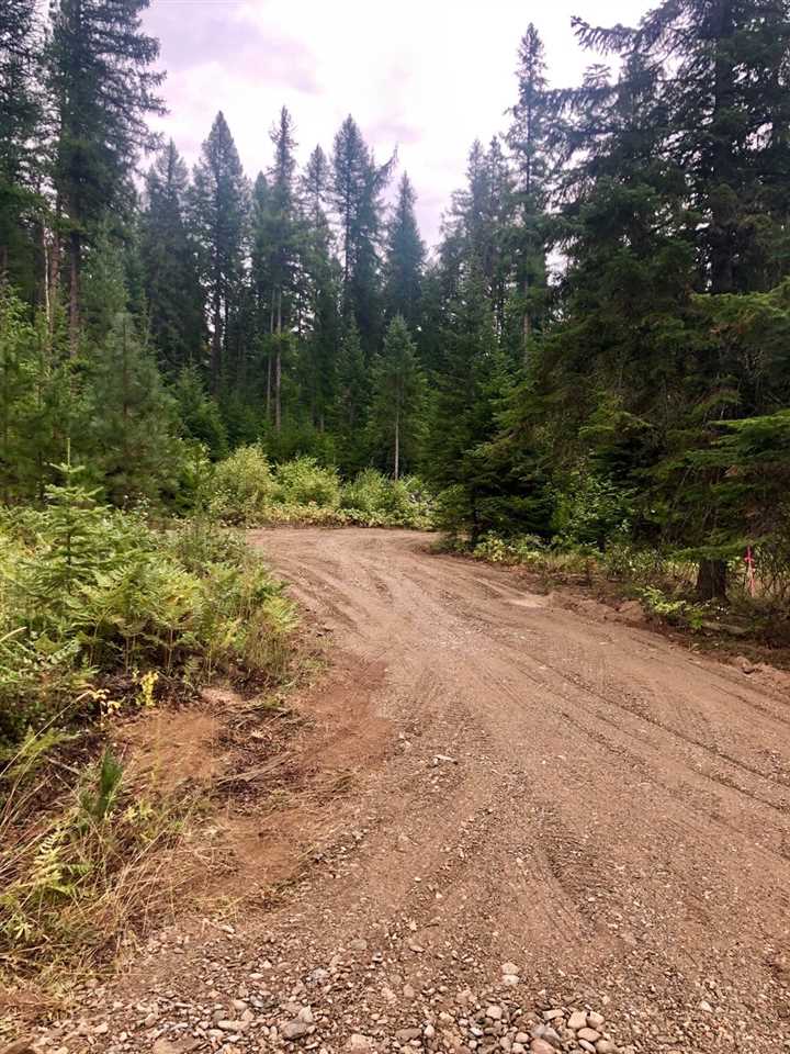 0 Leclerc Road Cusick, WA 99119 - Photo 8 of 11 Gallery Image 8
