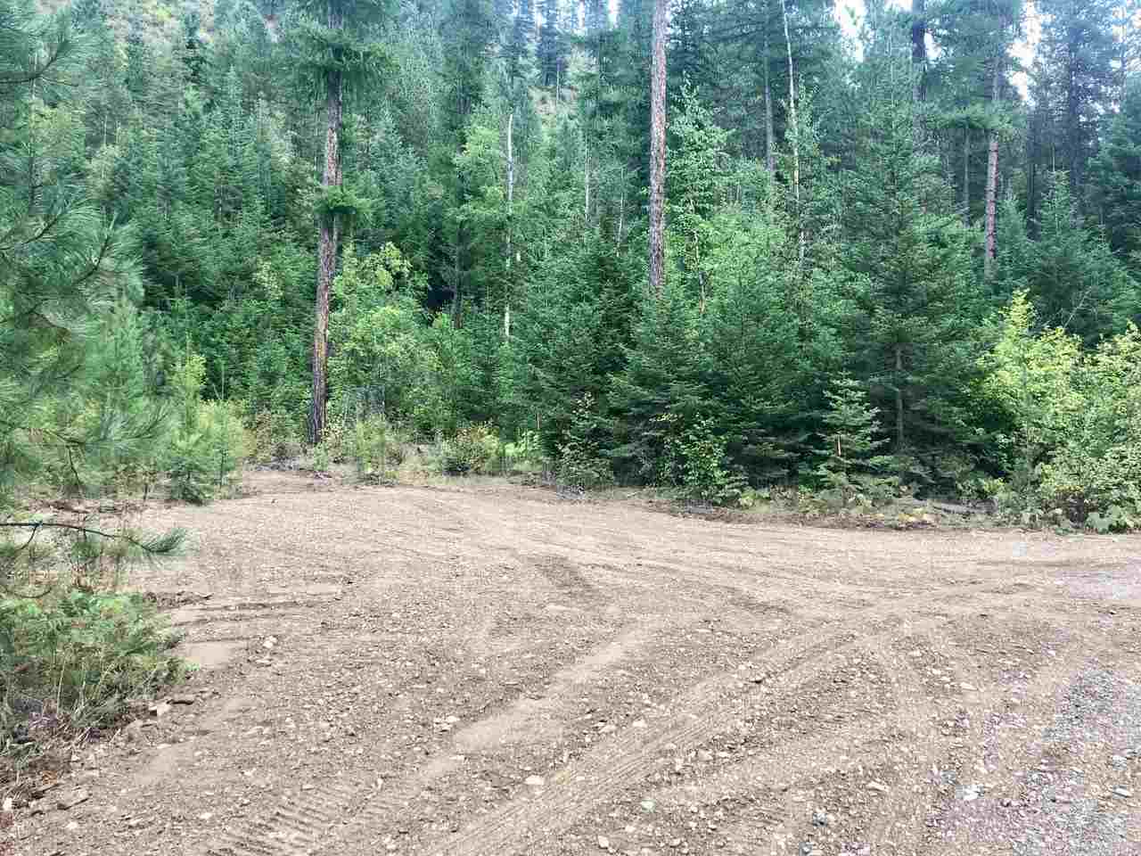0 Leclerc Road Cusick, WA 99119 - Photo 9 of 11 Gallery Image 9