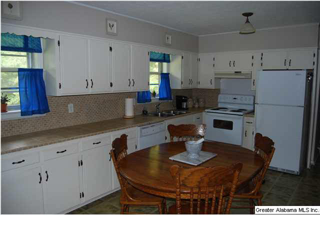 701 Truss Ferry Road Pell City, AL 35128 - Photo 6 of 18