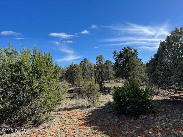 a view of a yard with mountain view
