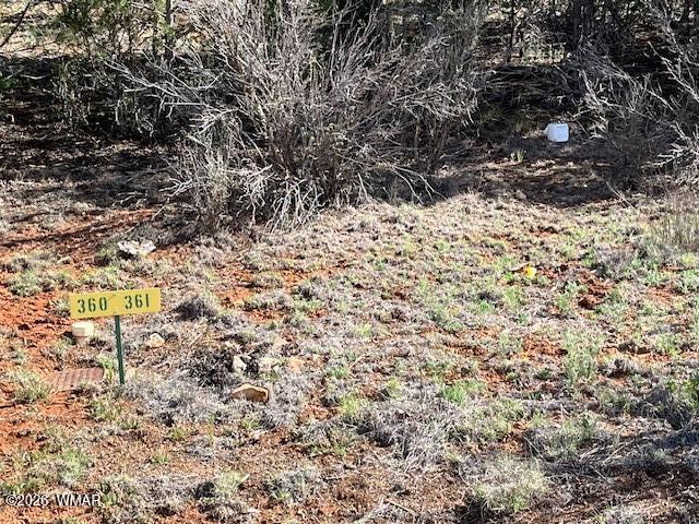 2277 Sunrise Road Overgaard, AZ 85933 - Photo 4 of 6