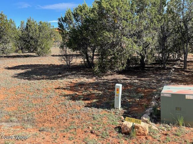 2277 Sunrise Road Overgaard, AZ 85933 - Photo 5 of 6 a view of a pathway with a yard