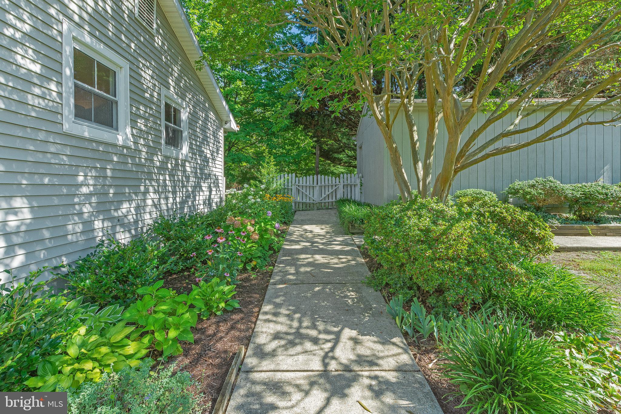 12867 Mccready Road Lusby, MD 20657 - Photo 8 of 36 Mature landscaping