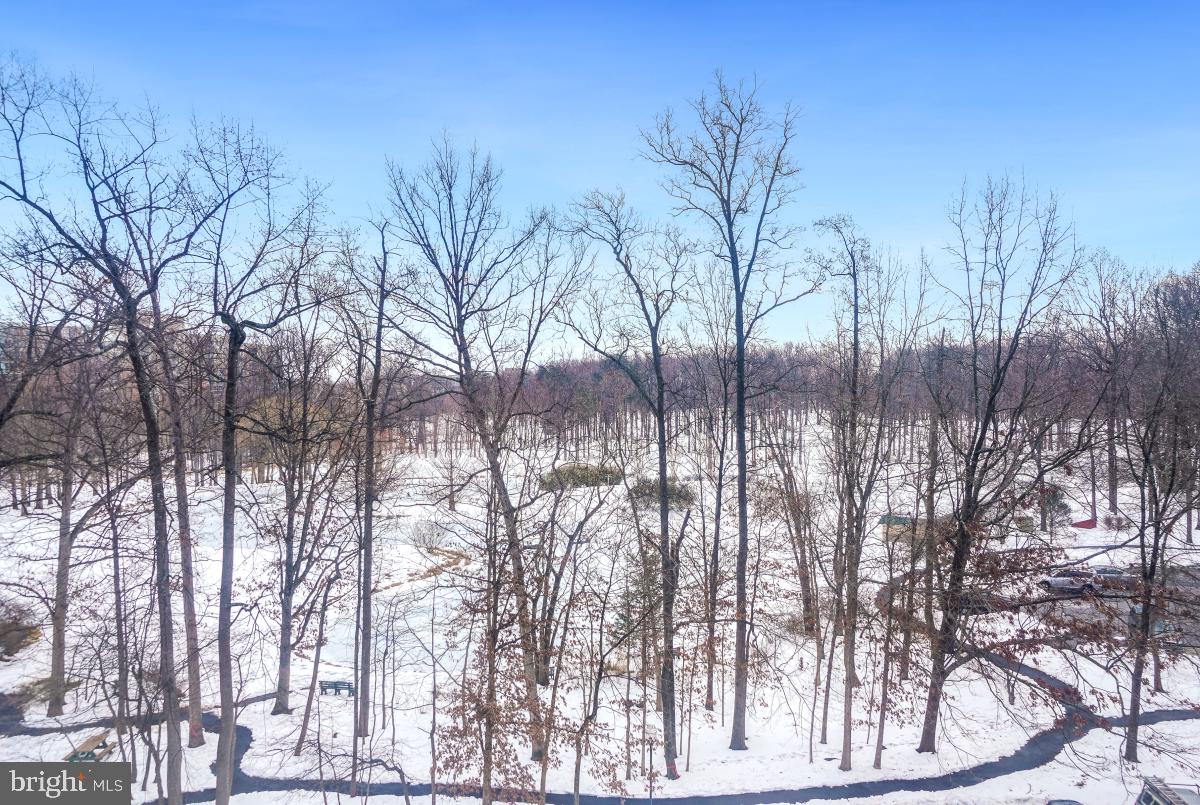 15115 Interlachen Drive, Unit 3525 Silver Spring, MD 20906 - Photo 13 of 37 View from Balcony