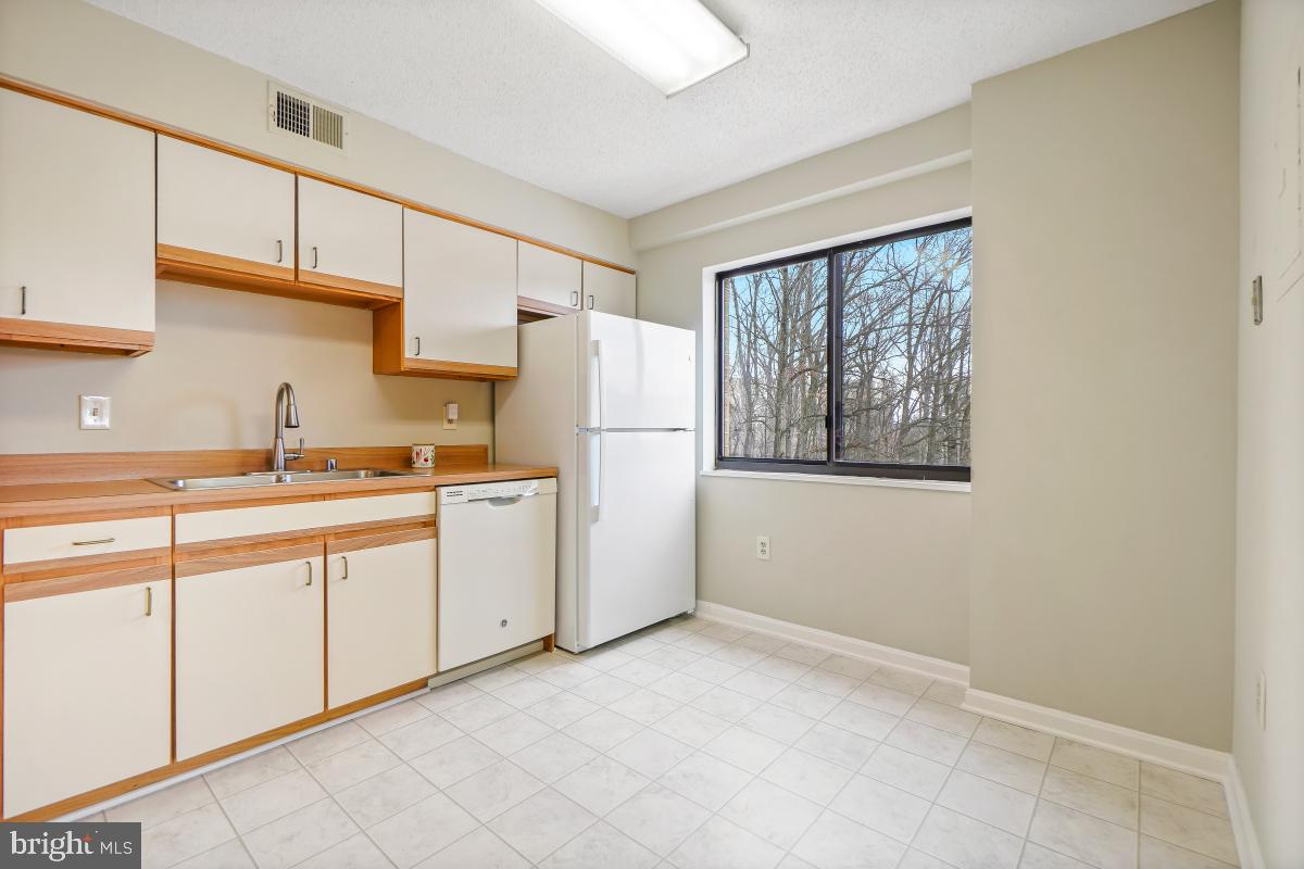 15115 Interlachen Drive, Unit 3525 Silver Spring, MD 20906 - Photo 21 of 37 Kitchen with large window