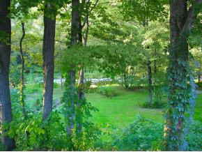613 Saxtons River Road Rockingham, VT 05154 - Photo 3 of 12 Gallery Image 3