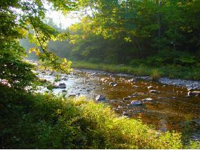 613 Saxtons River Road Rockingham, VT 05154 - Photo 5 of 12 Gallery Image 5