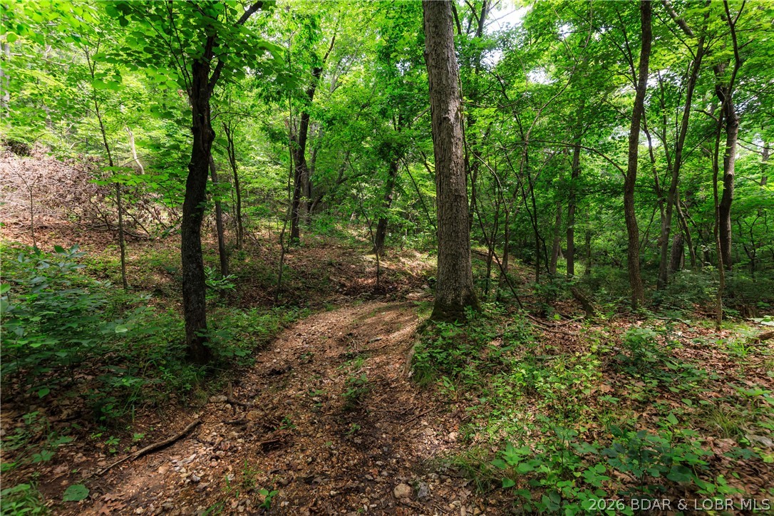 400 Hidden Acres Road Camdenton, MO 65020 - Photo 23 of 39