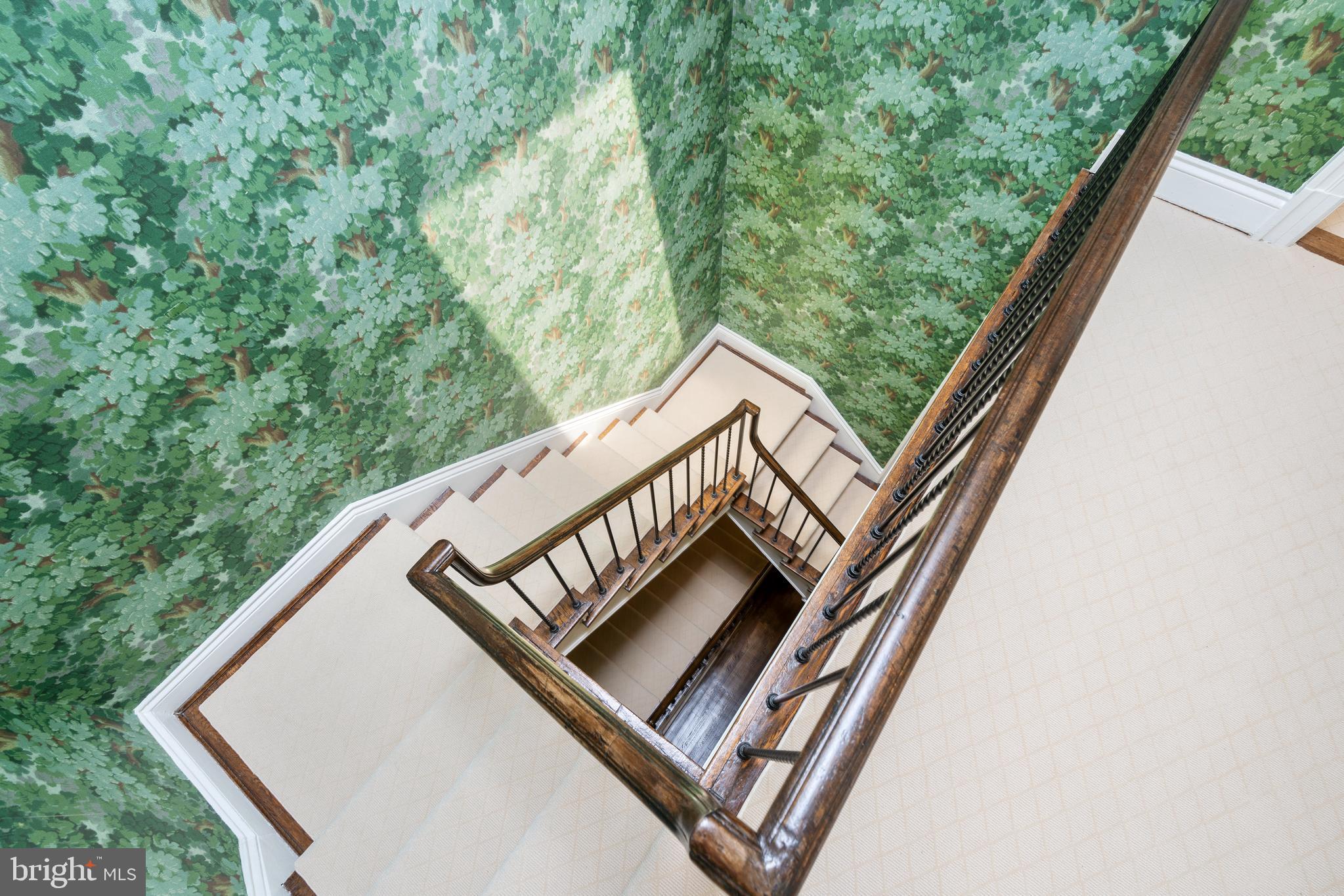 2428 Tracy Place Northwest Washington, DC 20008 - Photo 37 of 49